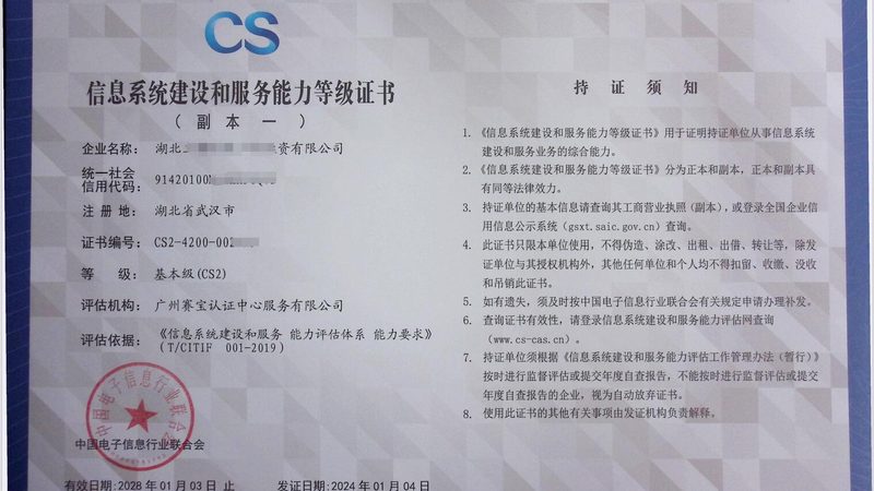 信息技术服务：揭秘其广泛适用性及行业优势