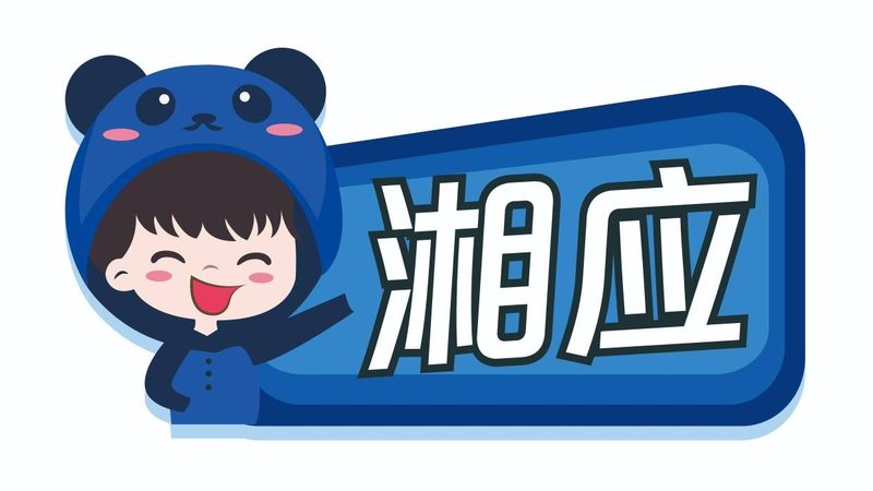 2025年，上海IT咨询公司排名背后的考量因素